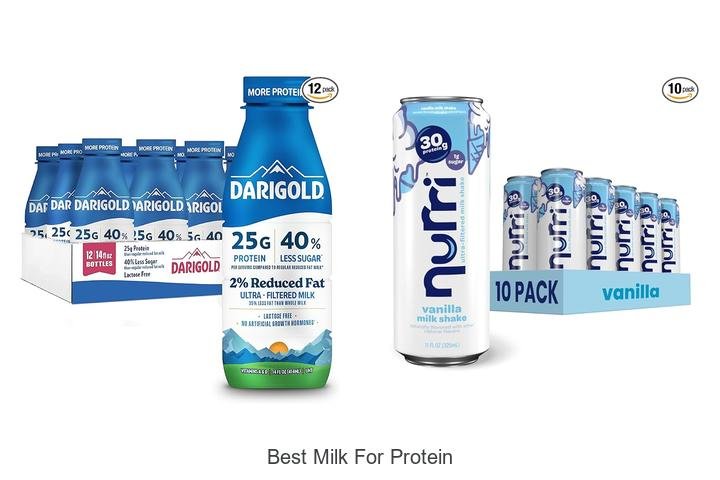 Discover the Best Milk for Protein Gains Today!
