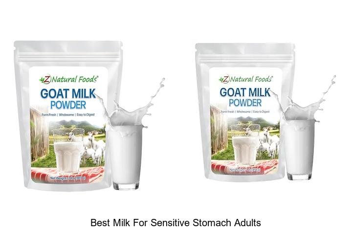 Top Milk Picks for Adults with Sensitive Stomachs