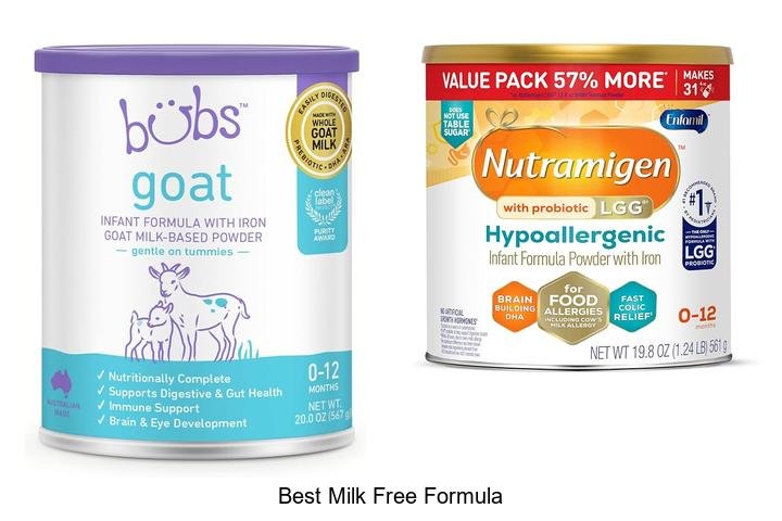 Ultimate Guide: Best Milk Free Formula for Babies