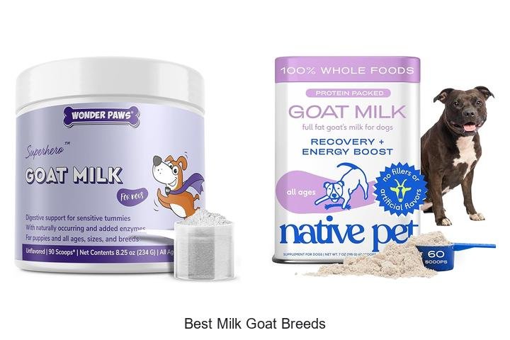 Discover the 5 Best Milk Goat Breeds Now!