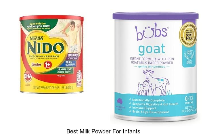 Discover the Best Milk Powder for Infants Now!