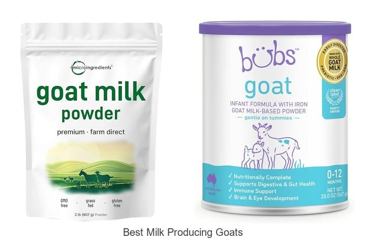 Discover Top Milk Producing Goats for High Yield!