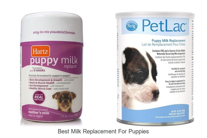 Top Milk Replacement for Puppies: Vet Approved!