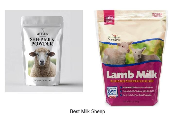 Discover the Best Milk Sheep for Rich Creamy Milk