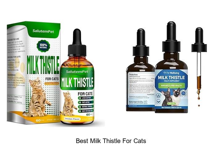Top Picks: Discover the Best Milk Thistle for Cats