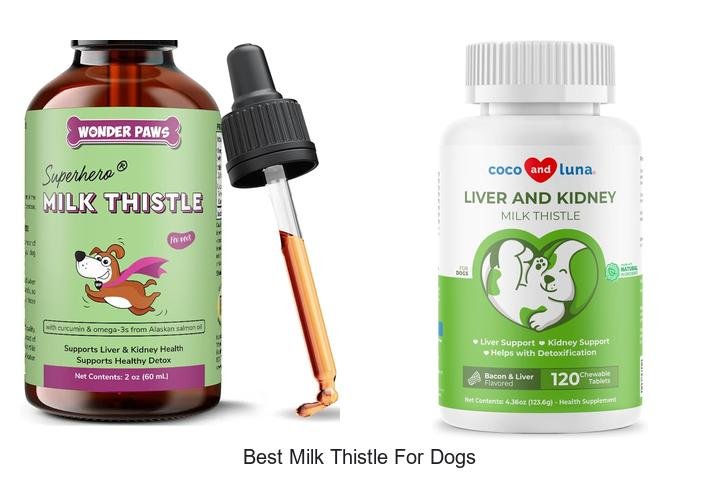 Top Picks for the Best Milk Thistle for Dogs!