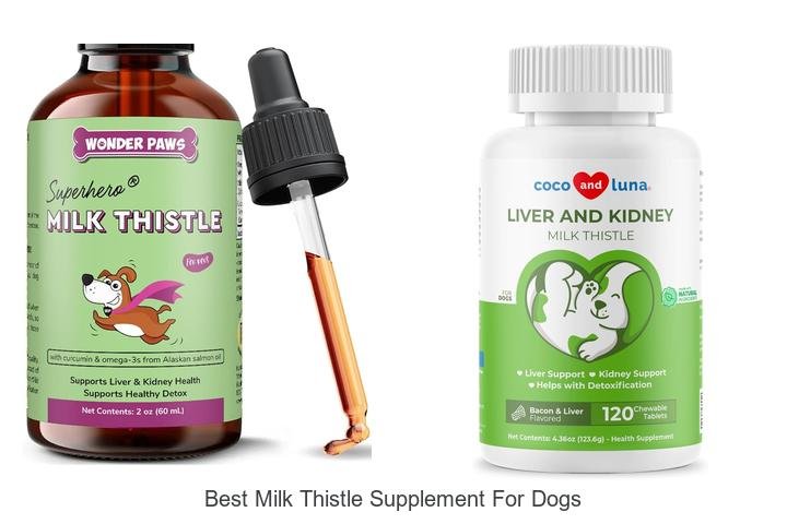 Top-Rated Milk Thistle Supplements for Dogs!