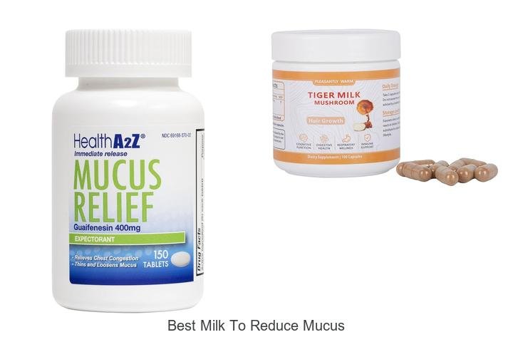 Best Milk for Reducing Mucus: Discover the Top Choice!