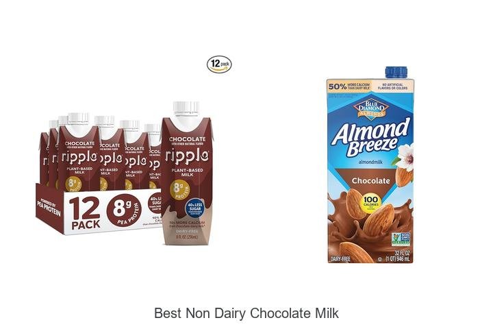 Irresistible Best Non Dairy Chocolate Milk Brands!