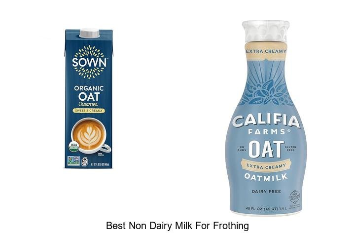 Uncover the Best Non Dairy Milk for Perfect Froth