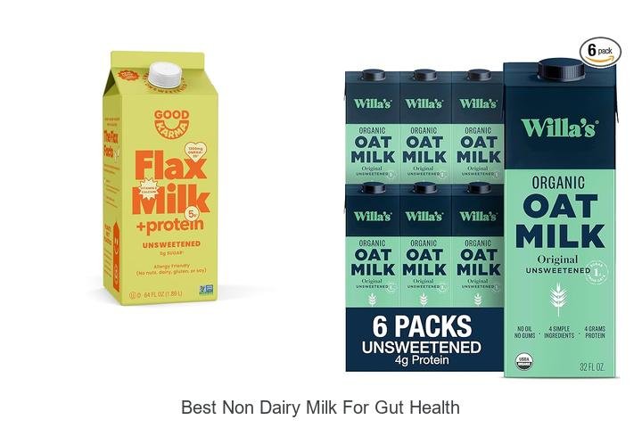 Discover the Best Non-Dairy Milk for Gut Health!