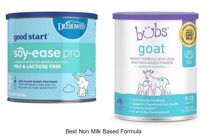 Discover the Best Non Milk Based Formula Today!