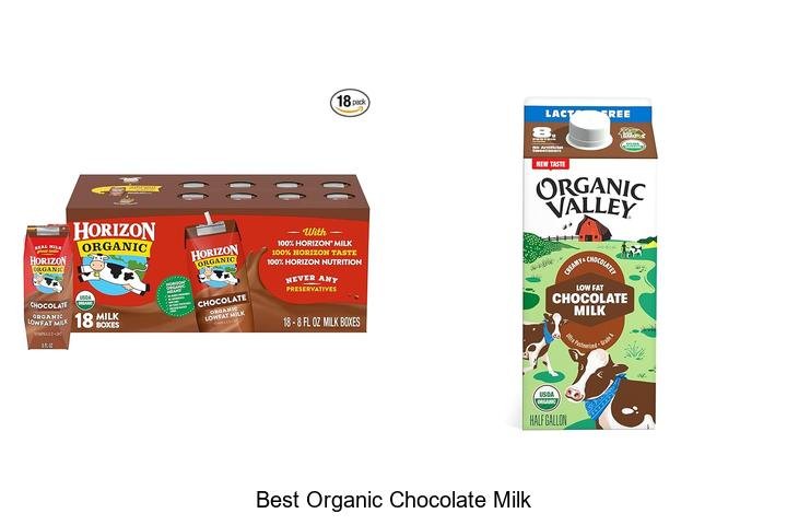 Discover the Best Organic Chocolate Milk Now!