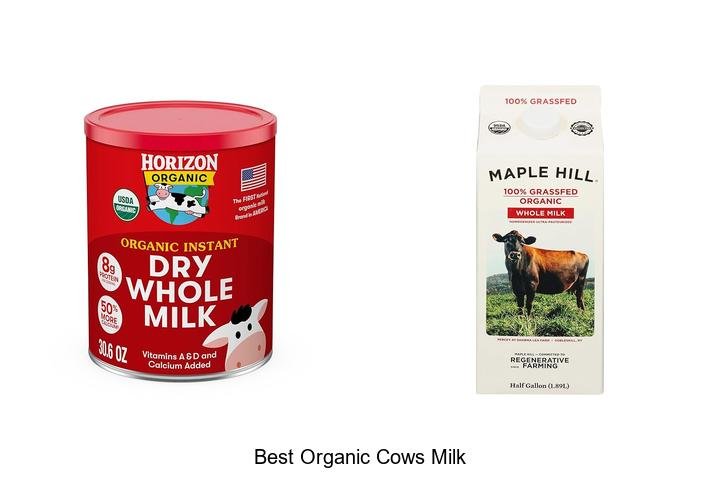 Discover the Best Organic Cows Milk – Taste the Difference!