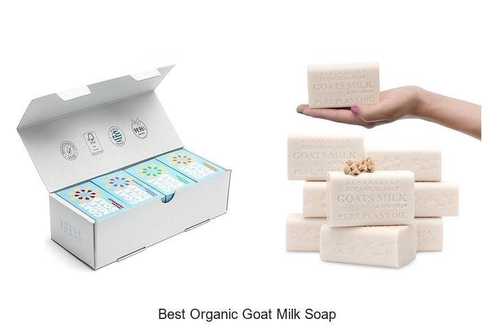 Discover the Best Organic Goat Milk Soap Now