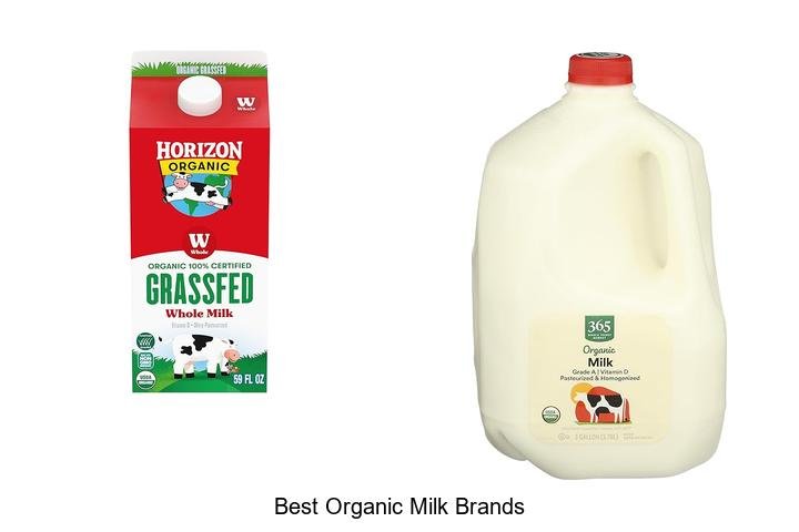 Top 5 Best Organic Milk Brands You Must Try!