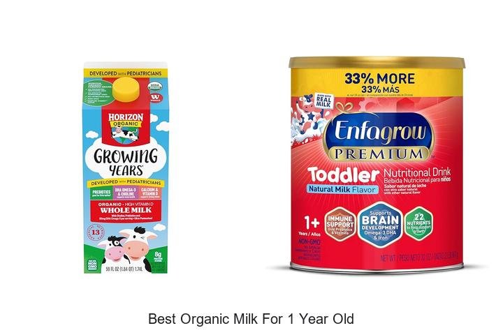 Discover the Healthiest Organic Milk for Toddlers