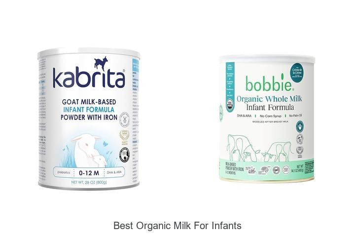 Top Choice: Best Organic Milk for Infants
