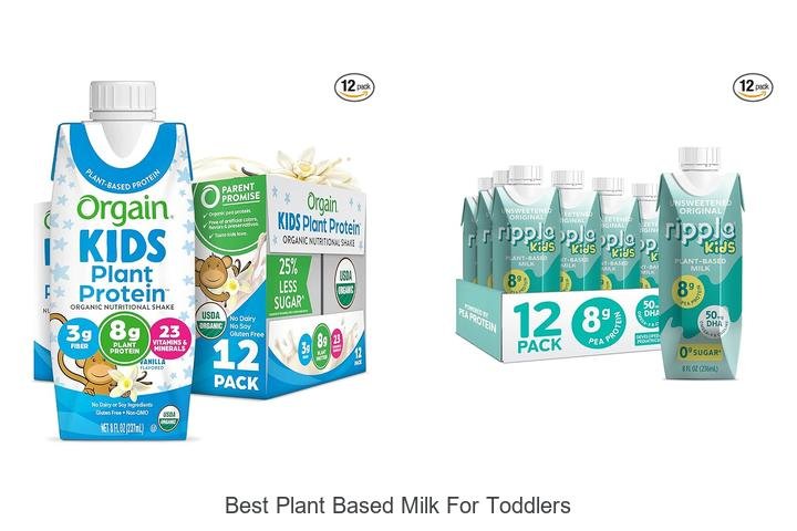 Top Plant-Based Milk for Toddlers: A Must-Read Guide