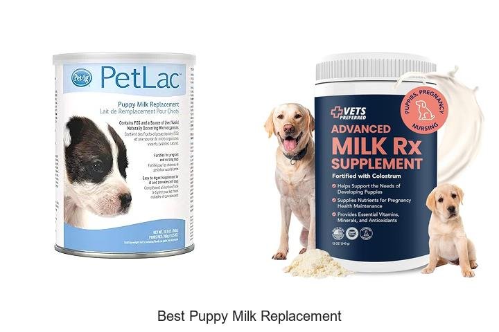 Ultimate Guide to Best Puppy Milk Replacement