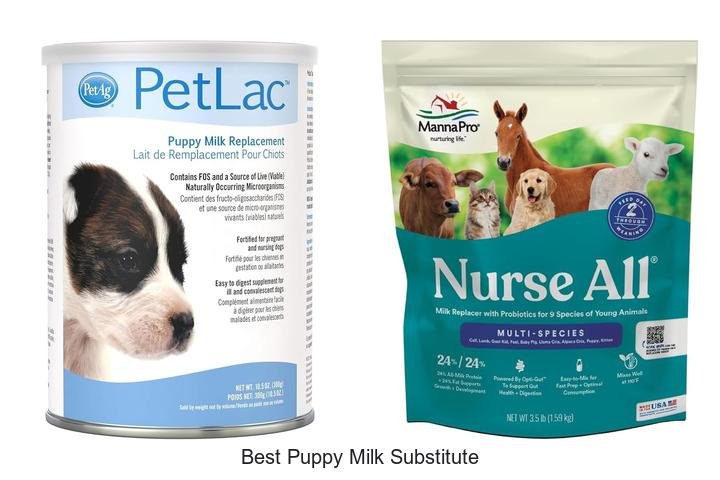 Ultimate Guide: Best Puppy Milk Substitute Revealed!