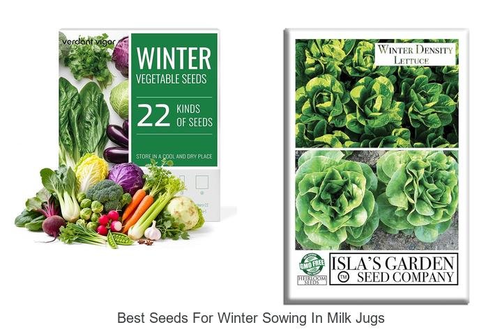 Top Seeds for Winter Sowing in Milk Jugs Revealed