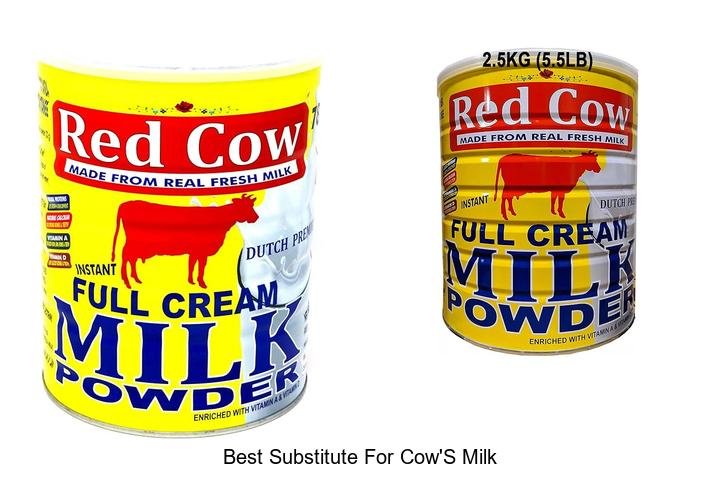 Discover the Best Substitute for Cow’s Milk Now!