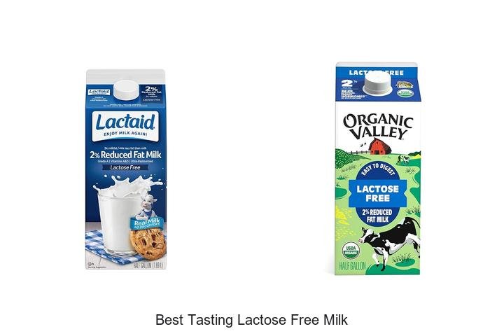 Discover the Best Tasting Lactose Free Milk Today!