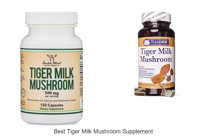 Unlock Vitality with the Best Tiger Milk Mushroom