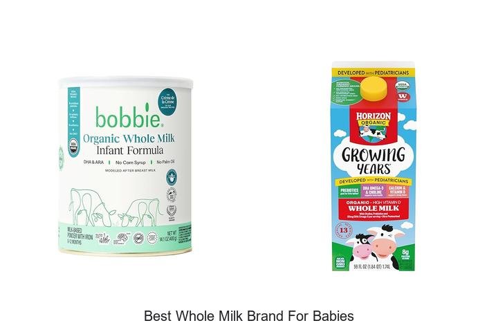 Top-Rated Whole Milk Brand for Babies: Expert Picks