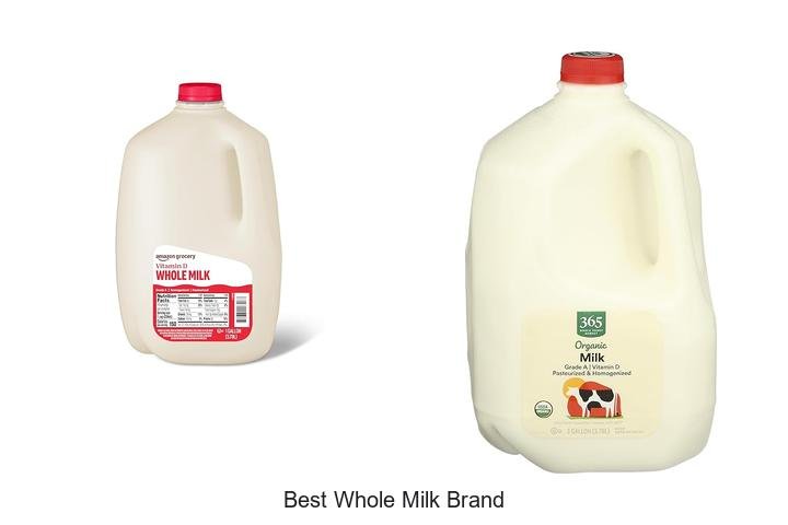 Discover the Best Whole Milk Brand for Creamy Bliss