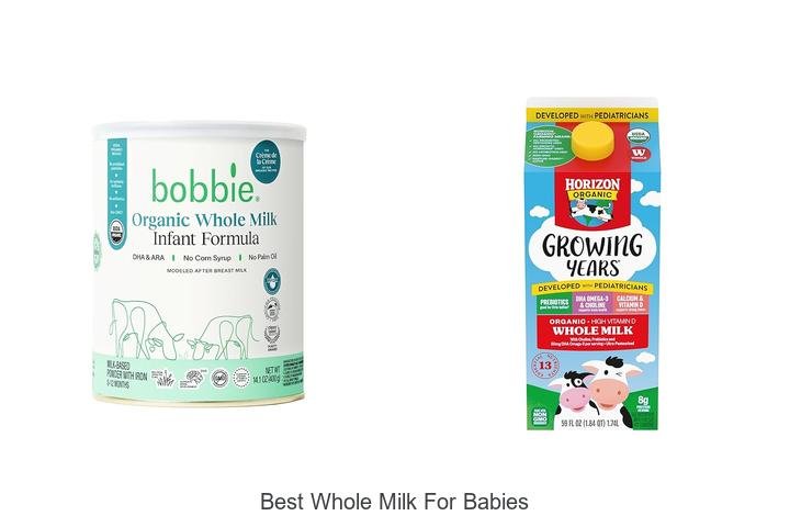 Top Picks: Best Whole Milk for Babies Revealed