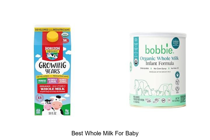 Discover the Best Whole Milk for Baby Health!