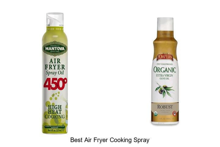 Best Air Fryer Cooking Spray That Will Change Your Life