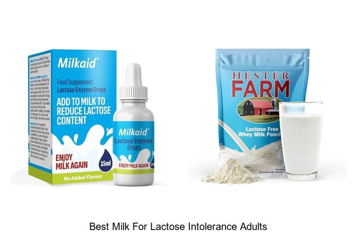 Best Milk For Lactose Intolerance Adults: Top Picks Revealed!