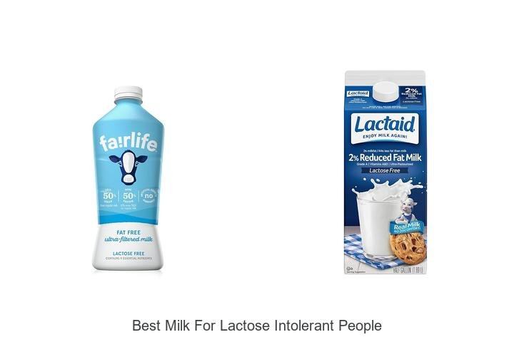 Best Milk For Lactose Intolerant People You Must Try Now