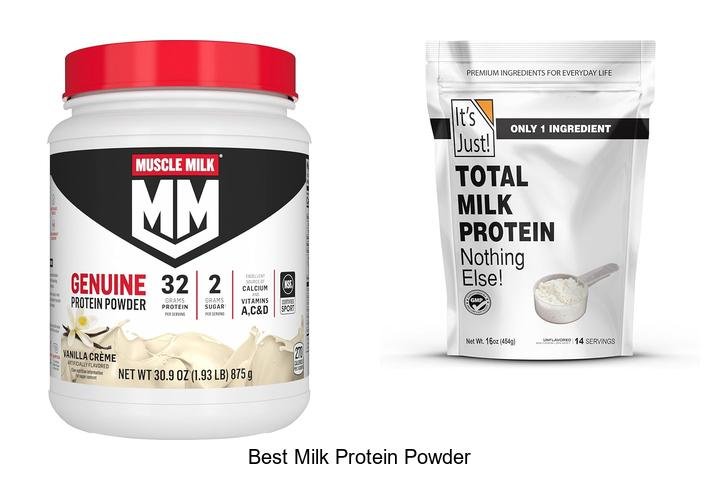 Best Milk Protein Powder That Will Transform Your Gains