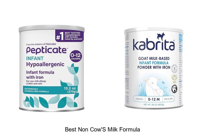 Best Non Cow’s Milk Formula That Will Shock You Today!