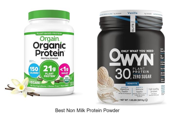 Best Non Milk Protein Powder That Will Transform Your Gains