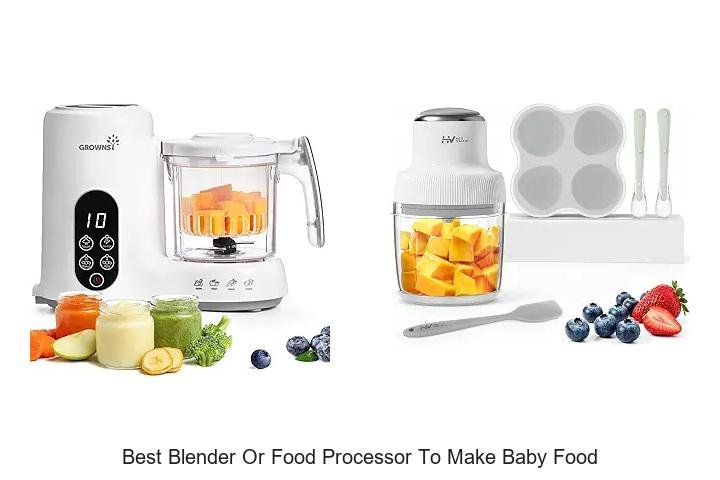 Best Blender Or Food Processor To Make Baby Food Fast!